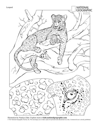 Coloring book-animals