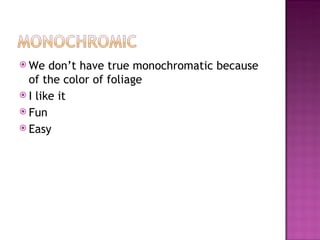 <ul><li>We don’t have true monochromatic because of the color of foliage </li></ul><ul><li>I like it </li></ul><ul><li>Fun...