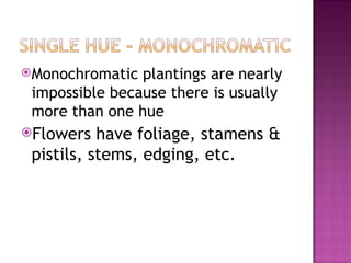 <ul><li>Monochromatic plantings are nearly impossible because there is usually more than one hue </li></ul><ul><li>Flowers...
