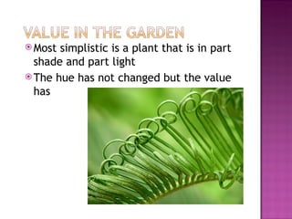 <ul><li>Most simplistic is a plant that is in part shade and part light </li></ul><ul><li>The hue has not changed but the ...
