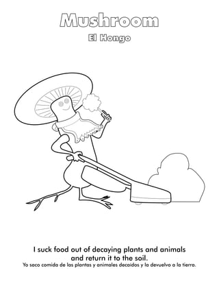 I suck food out of decaying plants and animals
and return it to the soil.
Yo saco comida de las plantas y animales decaídos y la devuelvo a la tierra.
 