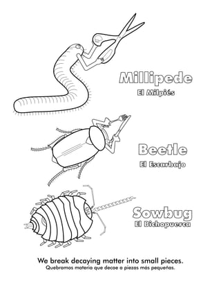 We break decaying matter into small pieces.
Quebramos materia que decae a piezas más pequeñas.
 