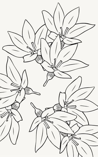Coloring Book Example | PDF