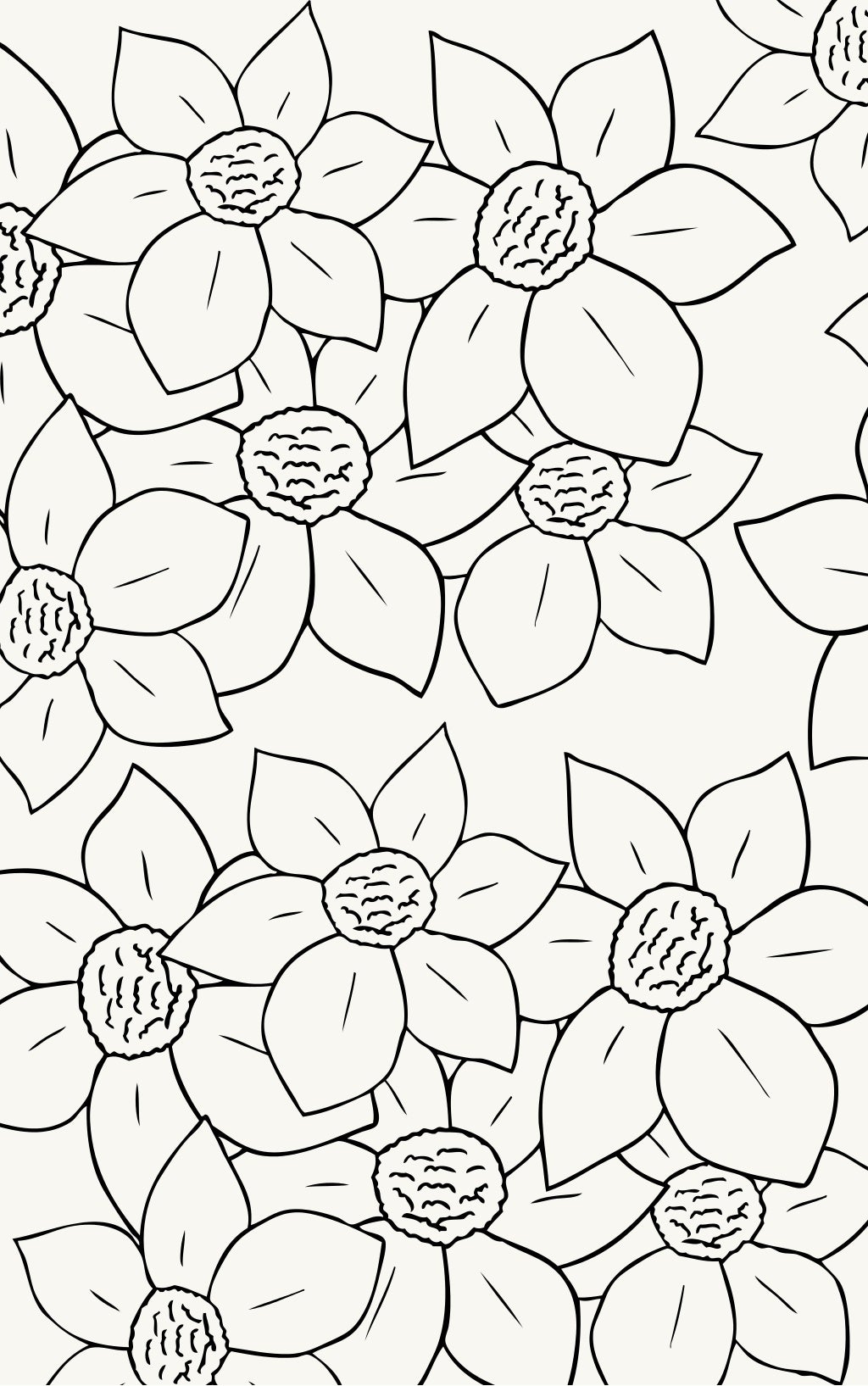 Coloring Book Example