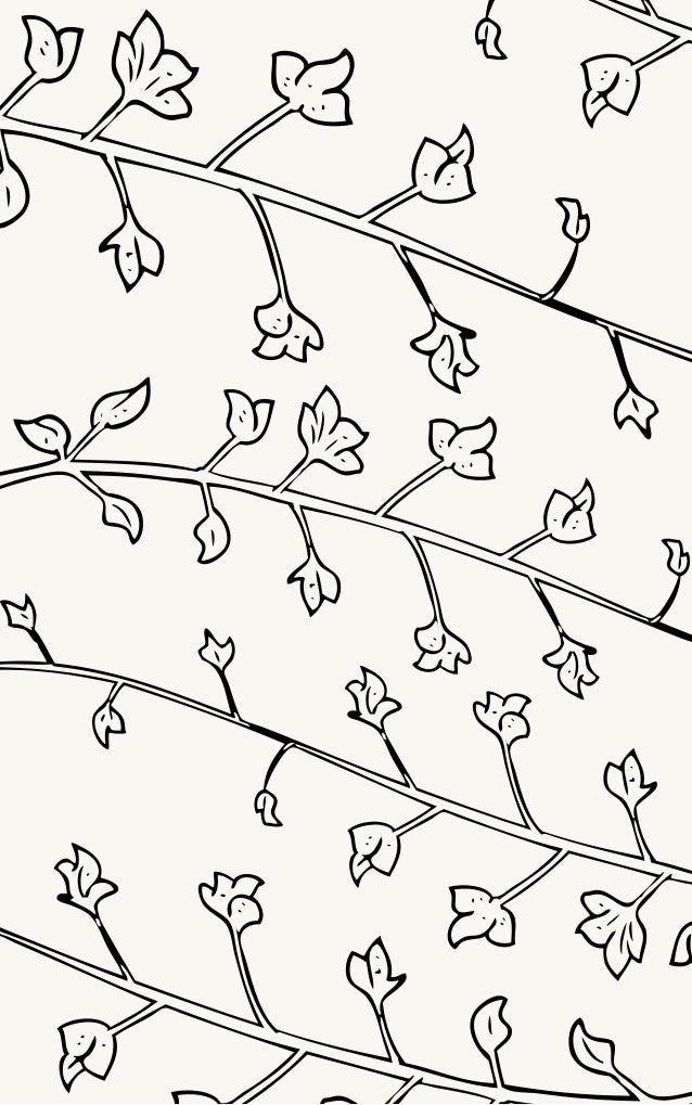 Coloring Book Example