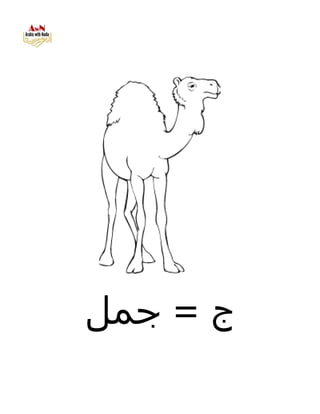 AWN Alphabet coloring book | PDF