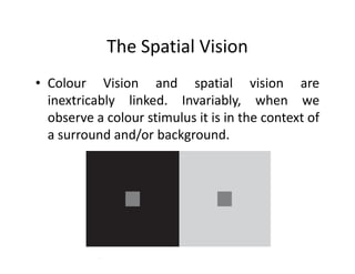 The Spatial Vision
• Colour Vision and spatial vision are
inextricably linked. Invariably, when we
observe a colour stimulus it is in the context of
a surround and/or background.a surround and/or background.
 