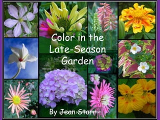 Color in the
Late-Season
Garden
By Jean StarrJean Starr - petaltalk-jean.com
 