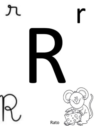 r
Rato