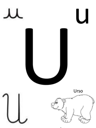 u
Urso