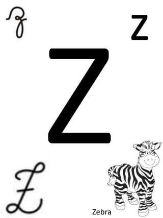z
Zebra