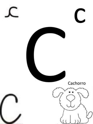 c
Cachorro