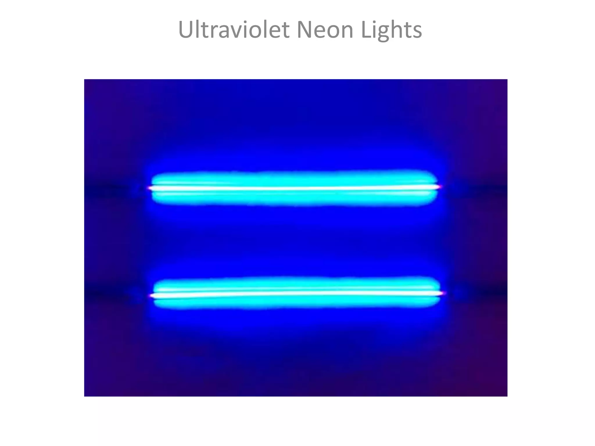 Ultraviolet Neon Lights
 