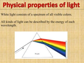 White light consists of a spectrum of all visible colors.
All kinds of light can be described by the energy of each
wavelength.
 