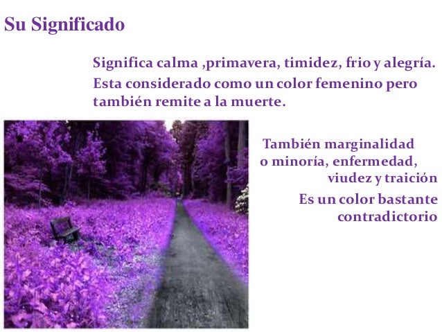 Color morado Color morado
