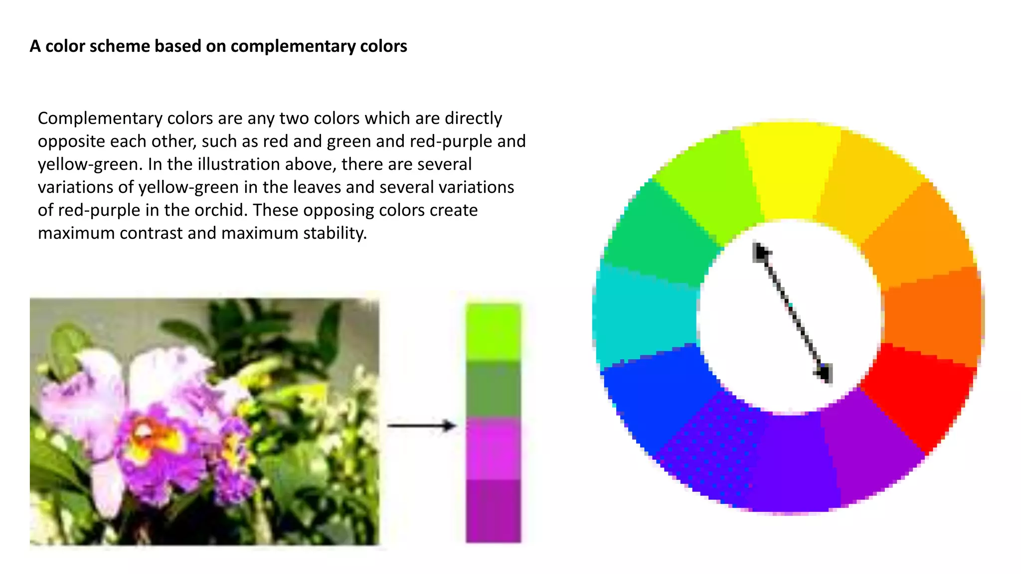 A color scheme based on complementary colors
Complementary colors are any two colors which are directly
opposite each other, such as red and green and red-purple and
yellow-green. In the illustration above, there are several
variations of yellow-green in the leaves and several variations
of red-purple in the orchid. These opposing colors create
maximum contrast and maximum stability.
 