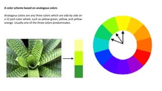 A color scheme based on analogous colors
Analogous colors are any three colors which are side by side on
a 12 part color wheel, such as yellow-green, yellow, and yellow-
orange. Usually one of the three colors predominates.
 