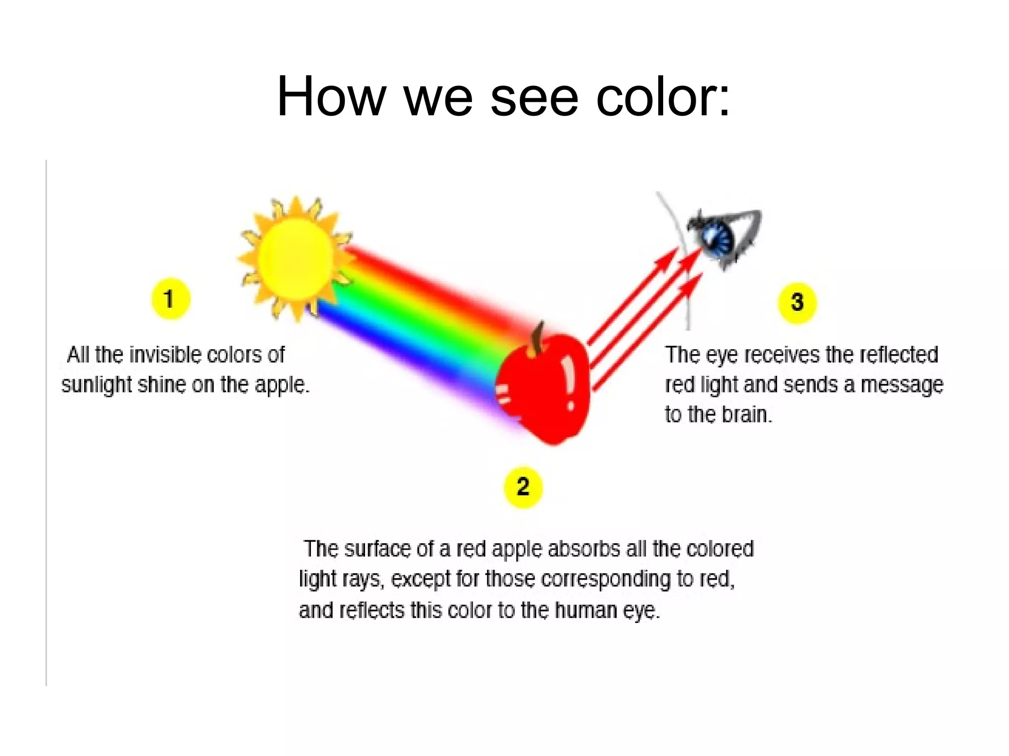 How we see color:
 
