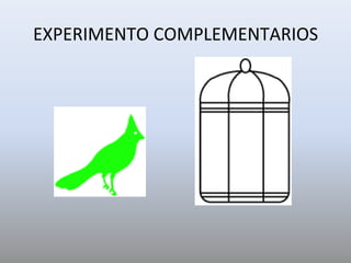 EXPERIMENTO	COMPLEMENTARIOS	
 