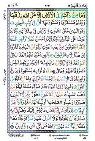 Tajwīdī Qur'ān | Juz 12 | وَمَا مِنْ دَابَّةٍ | PDF (القرآن جز ١٢) 
