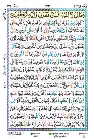 Tajwīdī Qur'ān | Juz 23 | وَمَا لِيَ | PDF (القرآن جز ٢٣) 