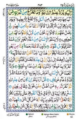 Tajwīdī Qur'ān | Juz 25 | إِلَيْهِ يُرَدُّ | PDF (القرآن جز ٢٥) 