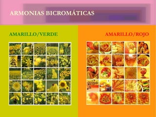 ARMONIAS BICROMÁTICAS
AMARILLO/VERDE AMARILLO/ROJO
 