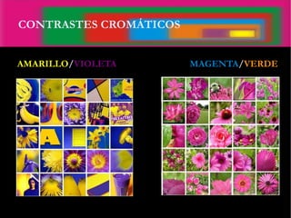 AMARILLO/VIOLETA MAGENTA/VERDE
CONTRASTES CROMÁTICOS
 