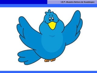 I.E.P «Nuestra Señora de Guadalupe»I.E.P «Nuestra Señora de Guadalupe»
 