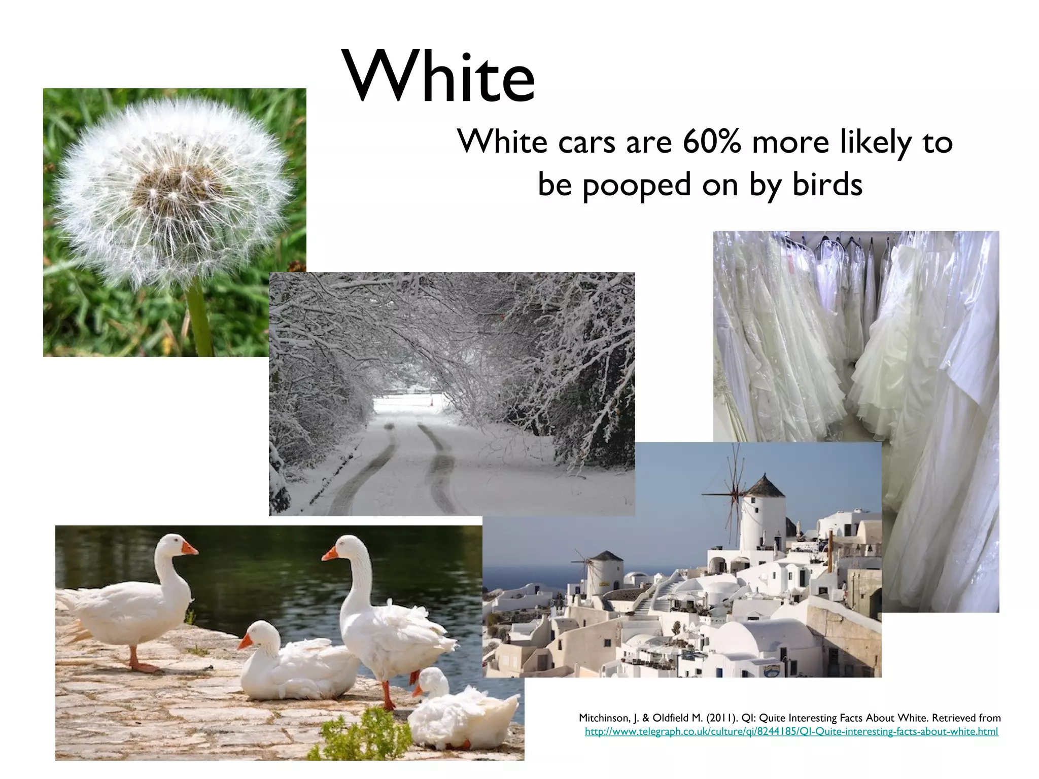 White
  White cars are 60% more likely to
      be pooped on by birds




          Mitchinson, J. & Oldfield M. (2011). QI: Quite Interesting Facts About White. Retrieved from
           http://www.telegraph.co.uk/culture/qi/8244185/QI-Quite-interesting-facts-about-white.html
 