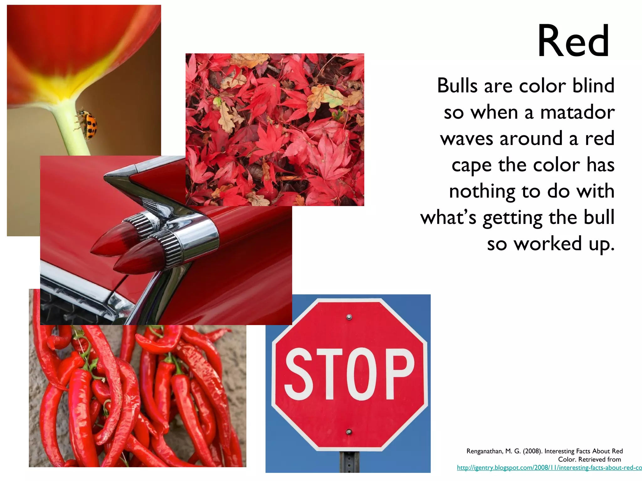 Red
 Bulls are color blind
  so when a matador
 waves around a red
   cape the color has
   nothing to do with
what’s getting the bull
       so worked up.




       Renganathan, M. G. (2008). Interesting Facts About Red
                                        Color. Retrieved from
    http://igentry.blogspot.com/2008/11/interesting-facts-about-red-co
 