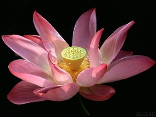 lundi 29 octobre 2012
 