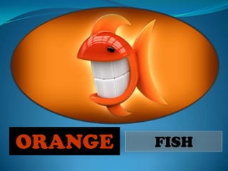 ORANGE   FISH
 