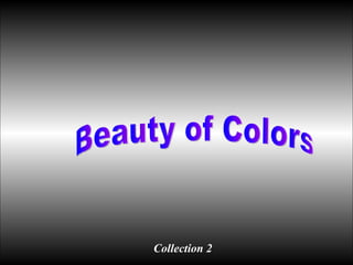 Beauty of Colors Collection 2 