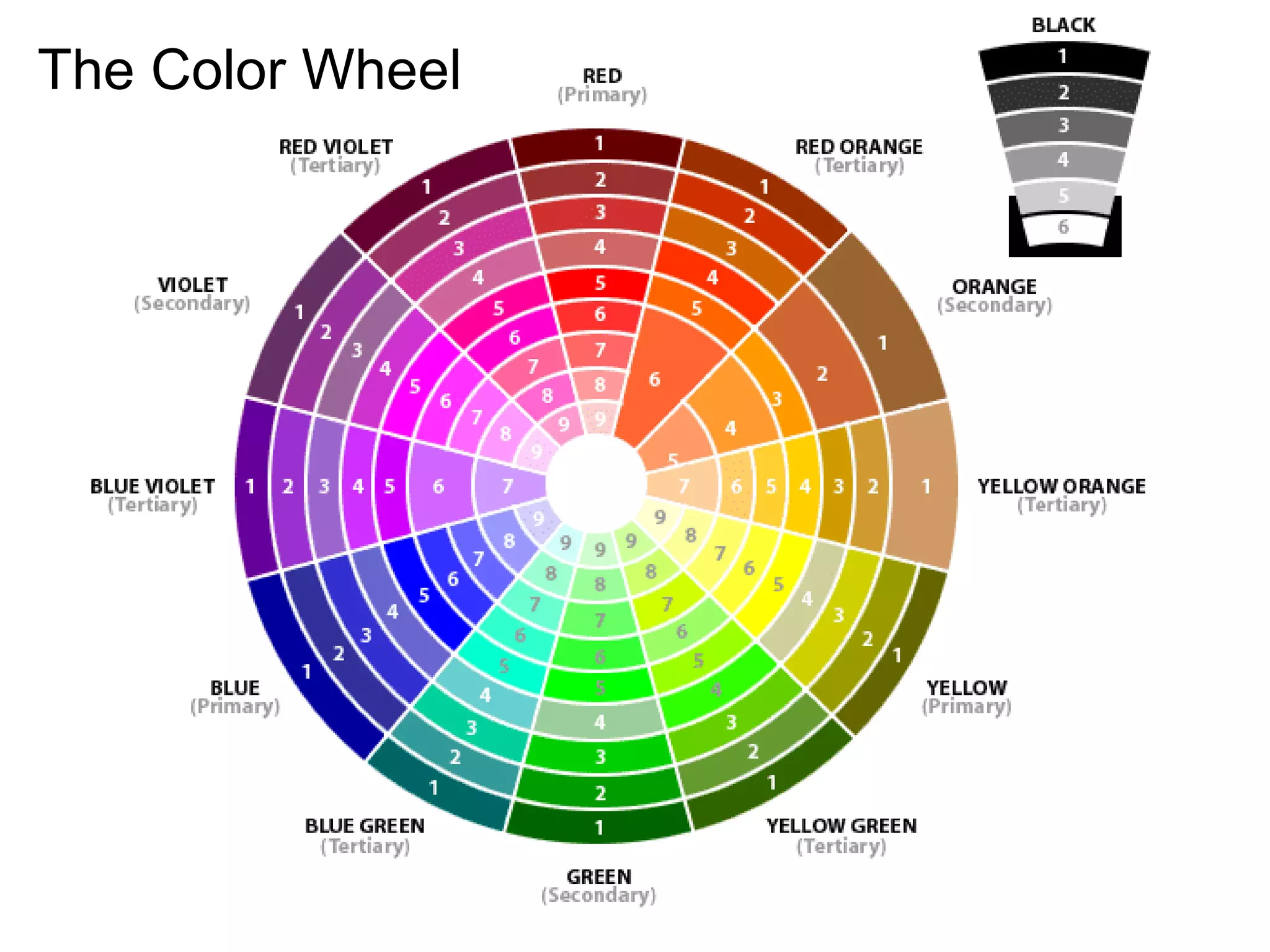 The Color Wheel