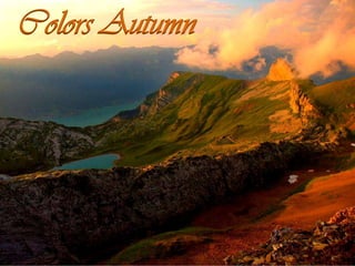 Colors Autumn  
