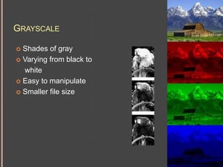 GrayscaleShades of grayVarying from black to whiteEasy to manipulateSmaller file size