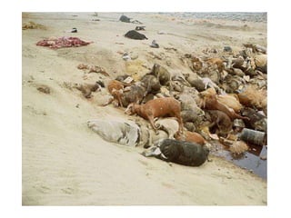 TRIADThree colors that are equidistant from one another (form an equilateral triangle) on the color wheel.