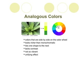 Analogous Colors 
 colors that are side by side on the color wheel 
 looks richer than monochromatic 
 ties one shape to the next 
 lacks contrast 
 not so vibrant 
 unifying effect 
 