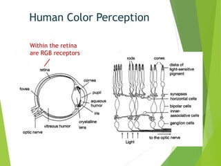 Chemistry Of Colors | PPTX