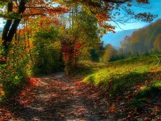 Colorsildy 100923132227-phpapp01