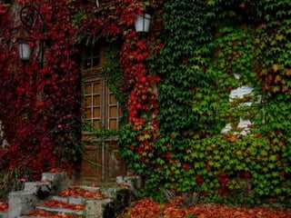 Colorsildy 100923132227-phpapp01