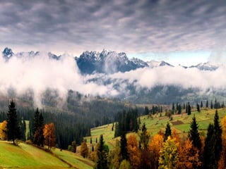 Colorsildy 100923132227-phpapp01