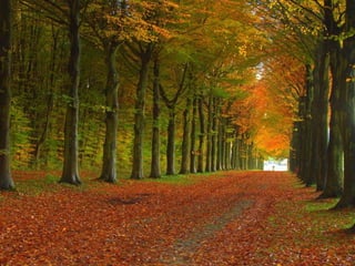 Colorsildy 100923132227-phpapp01