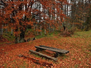 Colorsildy 100923132227-phpapp01