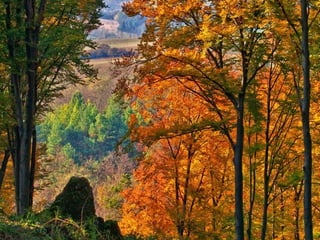 Colorsildy 100923132227-phpapp01