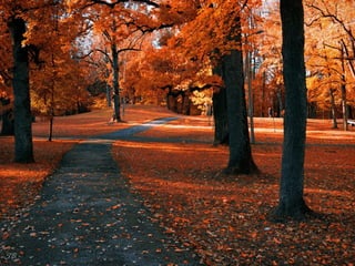 Colorsildy 100923132227-phpapp01