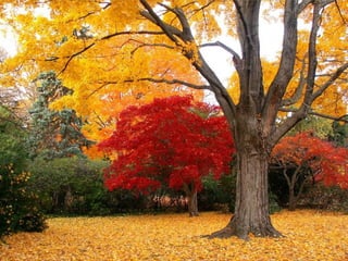 Colorsildy 100923132227-phpapp01
