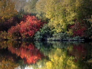 Colorsildy 100923132227-phpapp01