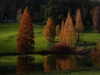 Colorsildy 100923132227-phpapp01